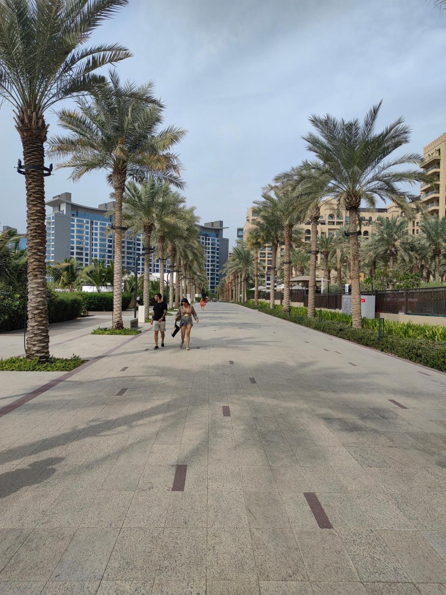 7 Palm Jumeirah Dubái Exterior foto